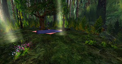 ForestForLovers